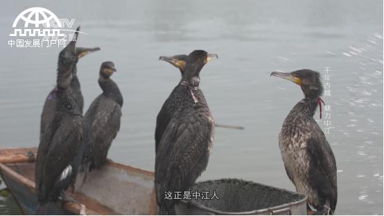 美丽中华行简介,中江千年古城美景图