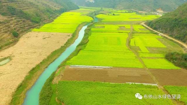 您好！我叫望谟，这是我的新名片~