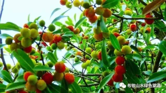 您好！我叫望谟，这是我的新名片~