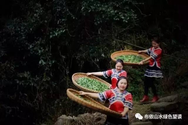 您好！我叫望谟，这是我的新名片~