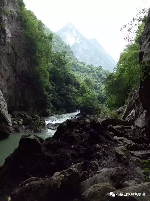 您好！我叫望谟，这是我的新名片~