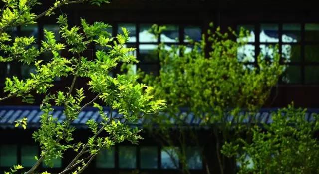 抵抗冬季抑郁,就要去这些世外山庄秘境