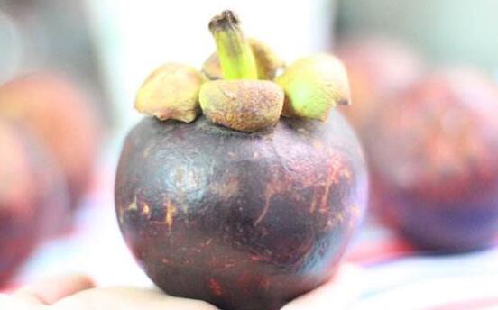 山竹皮可以直接泡水喝吗,山竹壳泡水吃有哪些功效