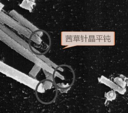 服用中药半夏要忌什么,半夏中药的功效与作用