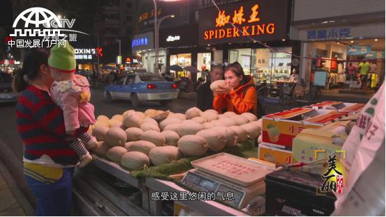 美丽中华行简介,中江千年古城美景图