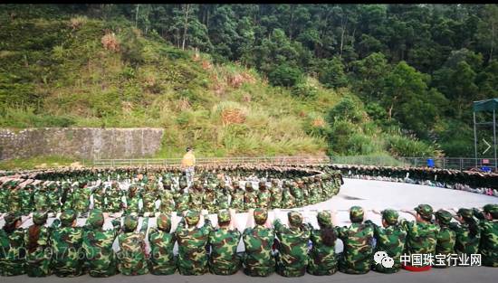 寮哄熀鍥烘湰鐮ョ牶鎷撴柊,寮哄熀鍥烘湰澧炴椿鍔涗骇涓氭尟鍏存鎵竼