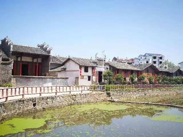 夜班编辑瑞金行｜一路前行一路感动一路收获