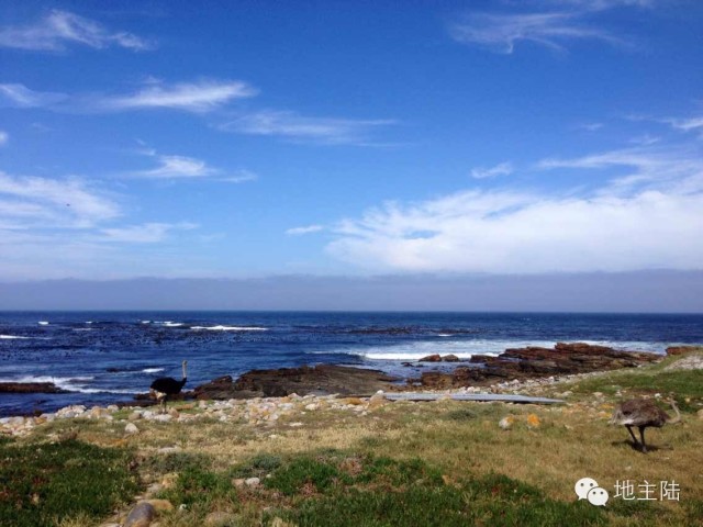 南非旅游照片,从南非回国的人