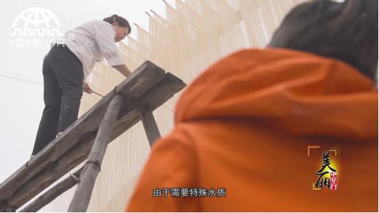 美丽中华行简介,中江千年古城美景图