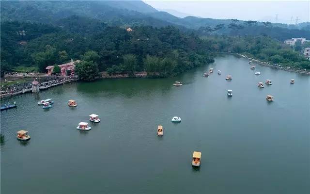 扩散！清远高考学子有着数啦，120元的牛鱼嘴+玻璃桥门票免费送！送！送！