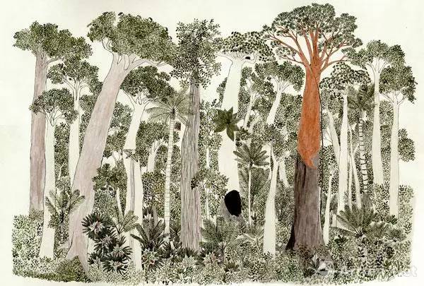 「直击卡塞尔」如何把卡塞尔打造成“最具政治性的”文献展？