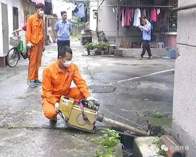 大沥四害消杀,大沥四害消杀上门服务