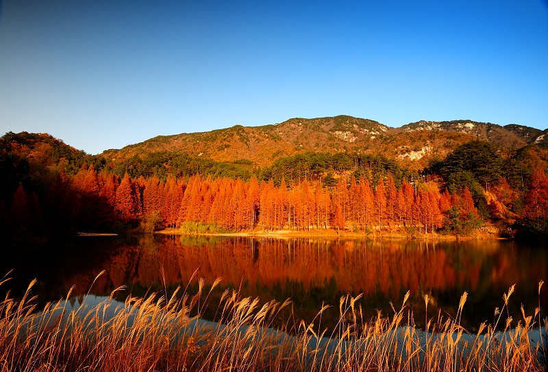 湖北省最值得打卡的城市,湖北十大绝美小城