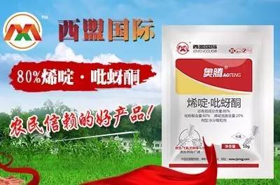 小麦价格继续上涨尿素涨的更猛,近期小麦价格跌还是涨