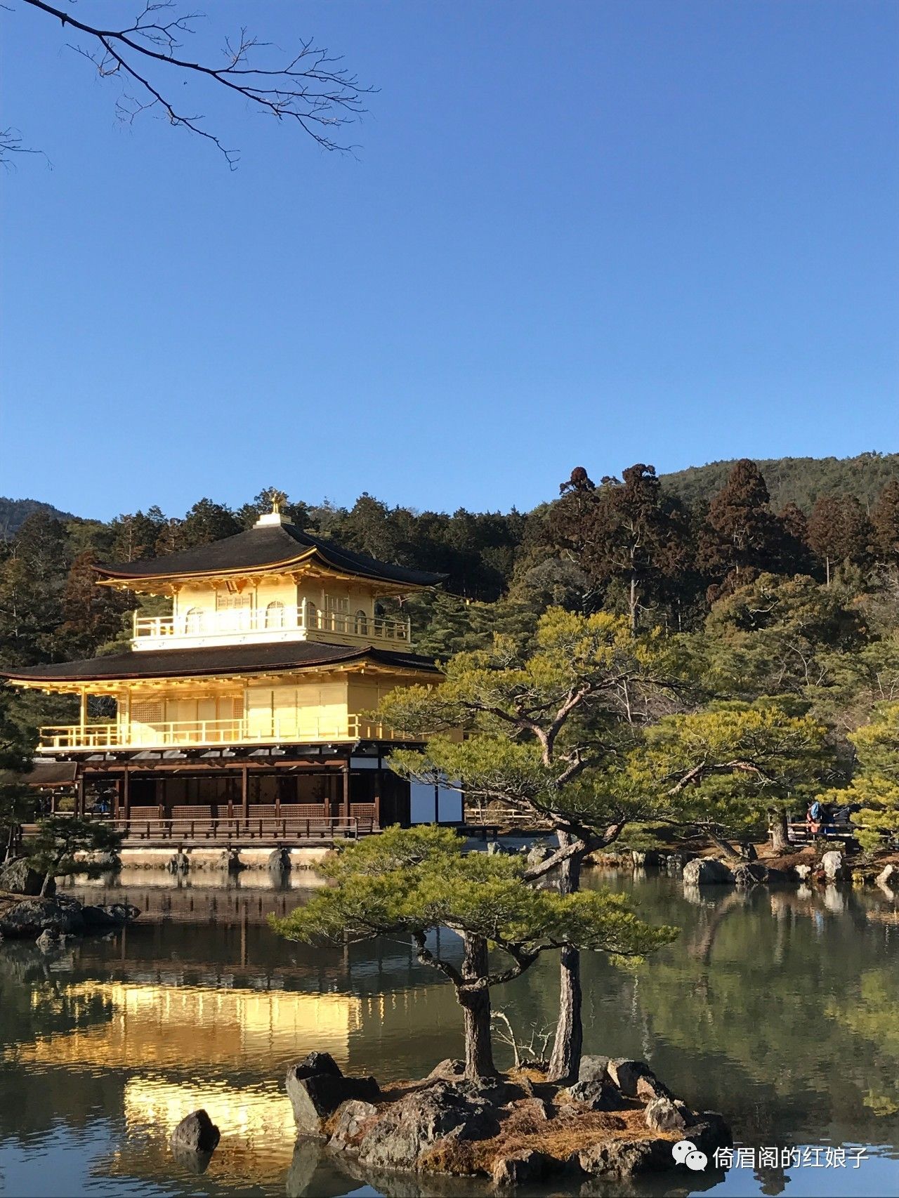 分裂与纠结——浮光掠影看日本