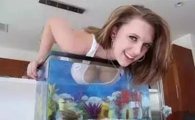 鱼缸不养鱼还能养什么小生物,鱼缸可以养不一样的鱼吗