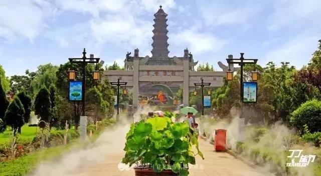 郑州哪的荷花开得比较好,郑州荷花观赏区