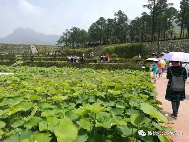 重要的事情说三遍迪厅版,重要的事说三遍新说法