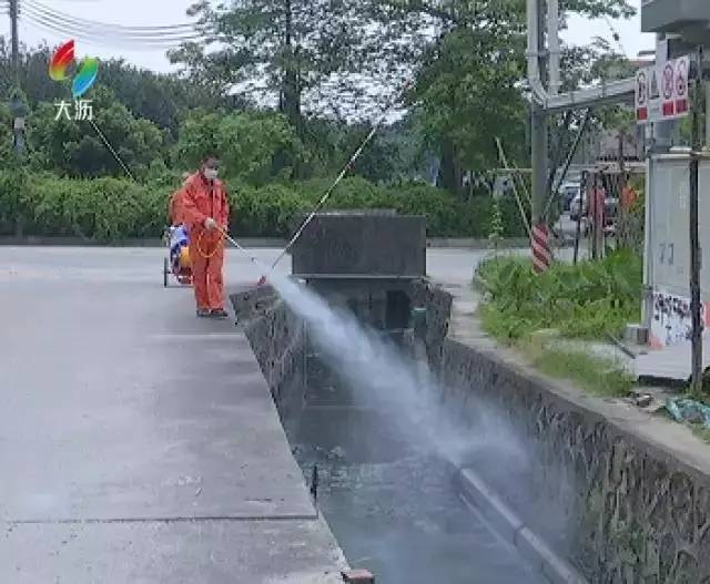 大沥四害消杀,大沥四害消杀上门服务