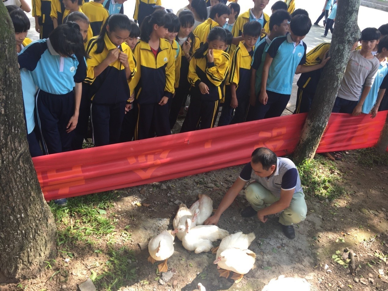 六一戴红领巾仿佛自己回到了童年,戴红领巾庆祝六一