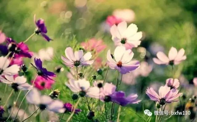 重要的事情说三遍迪厅版,重要的事说三遍新说法