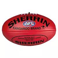 精灵宝可梦在现实中长什么样,精灵宝可梦到底是中国还是日本的