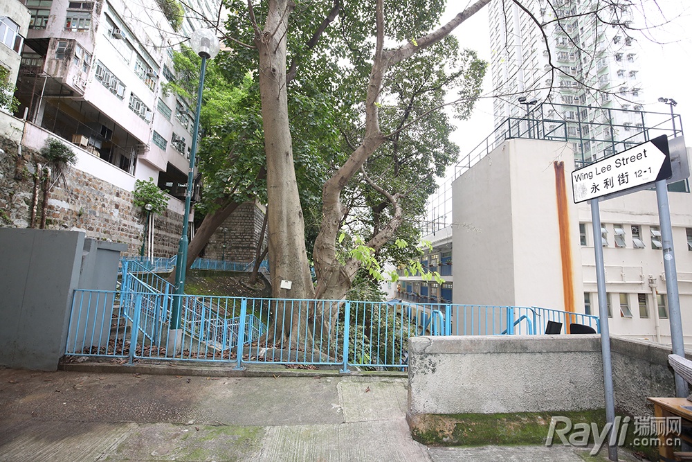 韩庚陈坤吴磊大张伟周游董大力,二十四小时陈坤大张伟韩庚唱歌