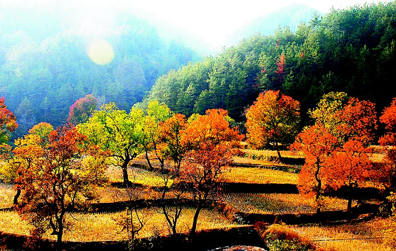 湖北省最值得打卡的城市,湖北十大绝美小城