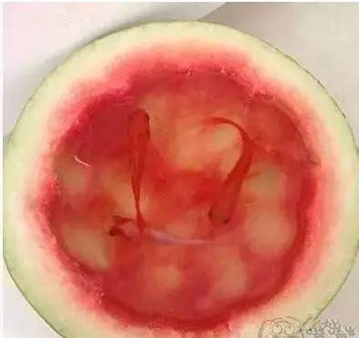 鱼缸不养鱼还能养什么小生物,鱼缸可以养不一样的鱼吗