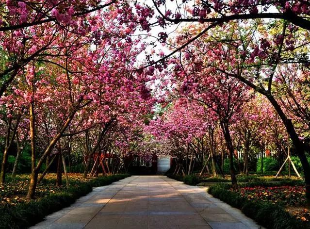 玩转大重庆超强攻略 (重庆各区最全玩耍攻略)