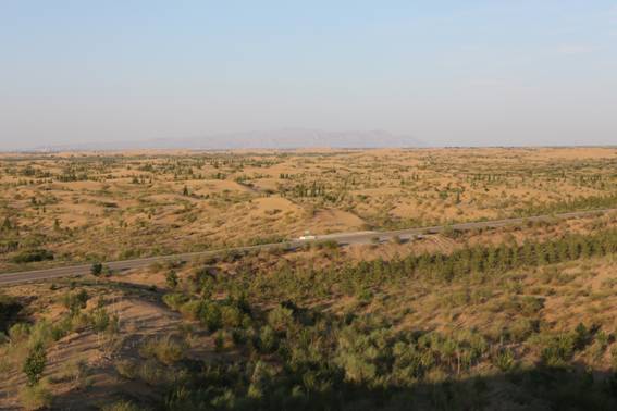 非洲27国记者聚焦库布其记录中国治沙故事