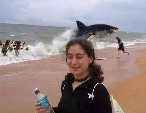 鱼缸不养鱼还能养什么小生物,鱼缸可以养不一样的鱼吗