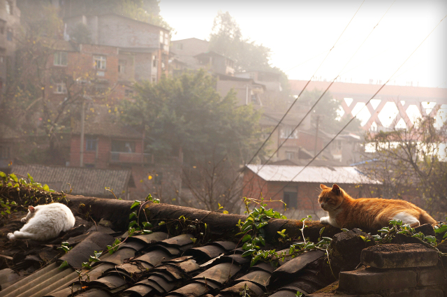 玩转大重庆超强攻略 (重庆各区最全玩耍攻略)