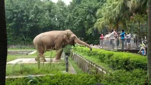 玩转大重庆超强攻略 (重庆各区最全玩耍攻略)