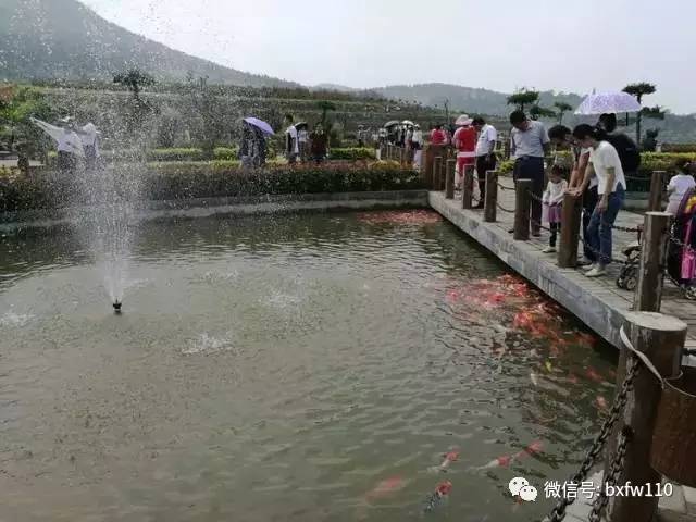 重要的事情说三遍迪厅版,重要的事说三遍新说法