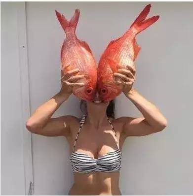 鱼缸不养鱼还能养什么小生物,鱼缸可以养不一样的鱼吗