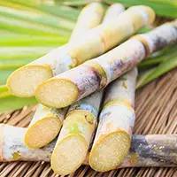 精灵宝可梦在现实中长什么样,精灵宝可梦到底是中国还是日本的