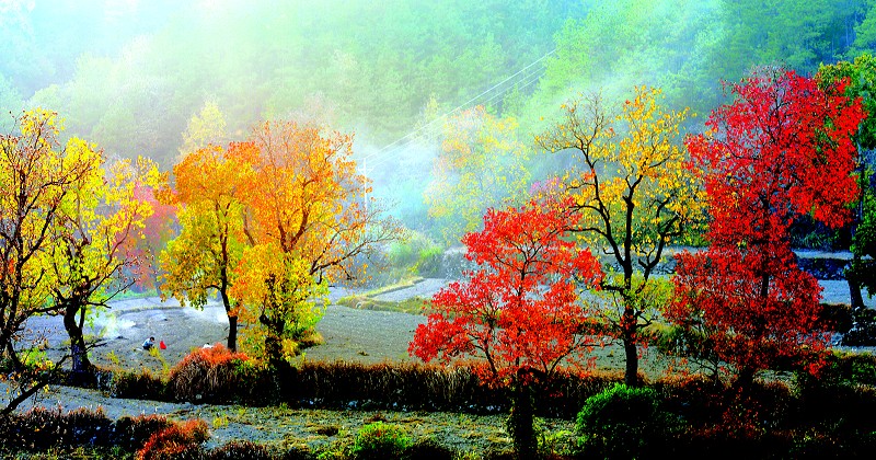 湖北省最值得打卡的城市,湖北十大绝美小城