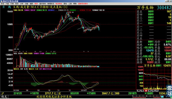300501海顺新材股票,300501海顺新材未来成长性
