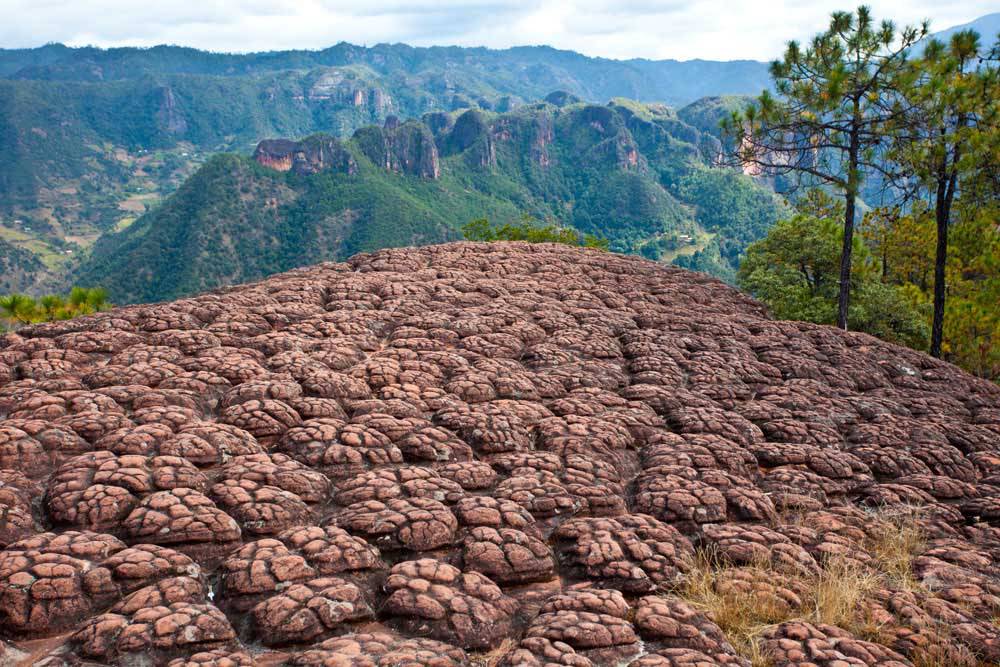 丽江旅游景点及票价查询,丽江小众景点及价格
