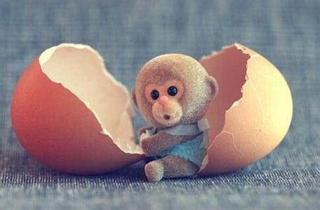 猴宝宝找妈妈视频大全,为什么今年猴宝宝这么多