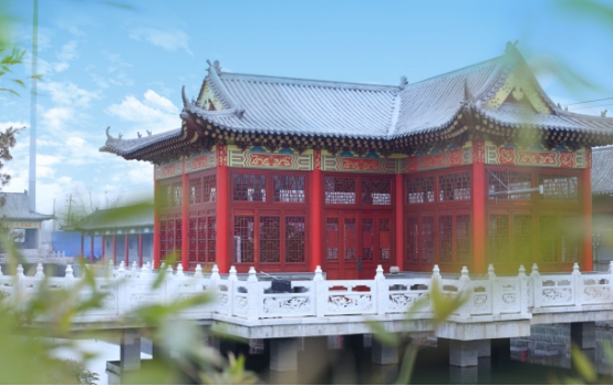 伊例家酱油是正规厂家吗,伊例家零添加酱油