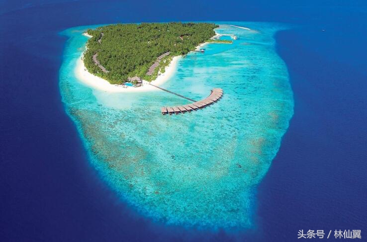马尔代夫吃得最好的岛,马尔代夫哪个岛最好玩儿