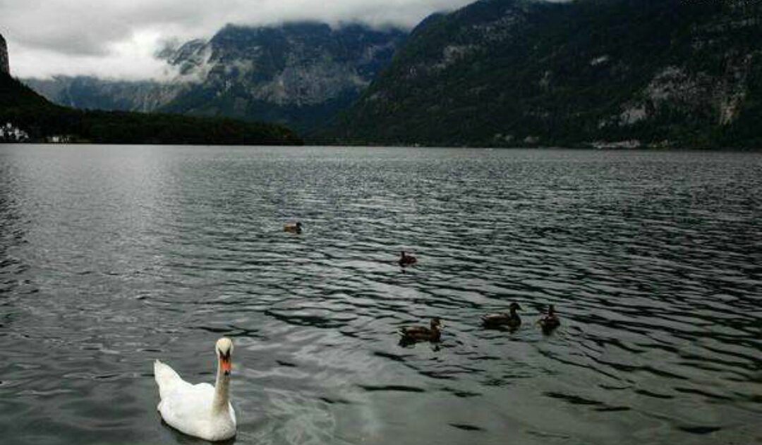 城市有压抑感,城市疏离感