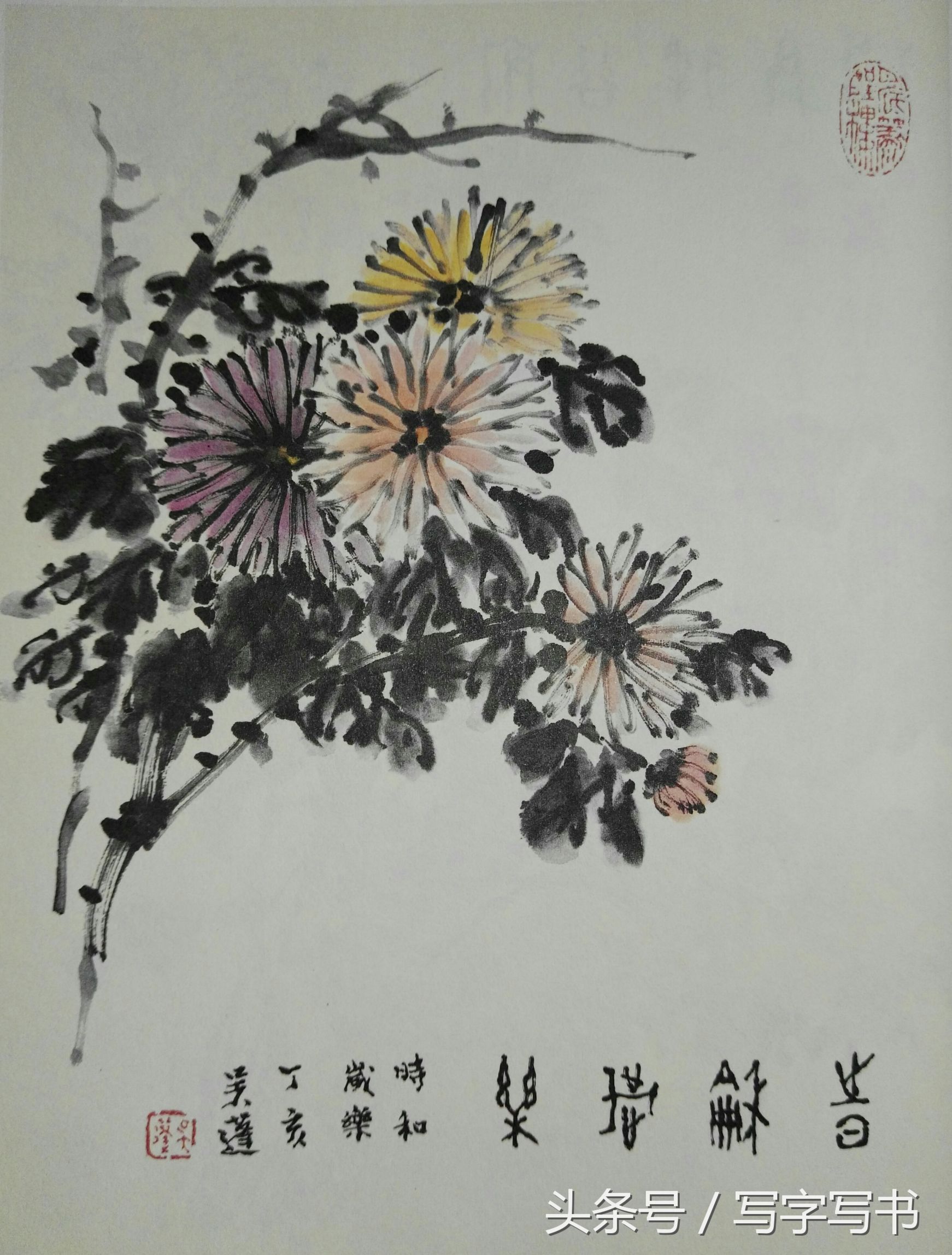 工笔画梅兰竹菊画法大全第一部分,墨牡丹花画法技巧