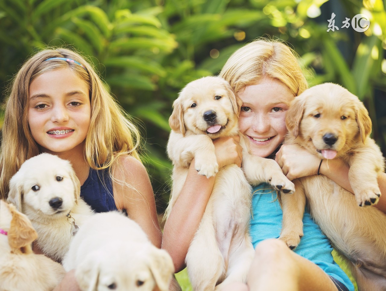 刚出生的小狗喜欢咬人为什么,刚到家的小狗咬人怎么办