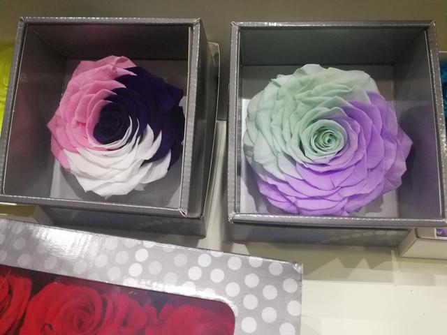 你想要的品质和质量,永生花价格一般多少钱