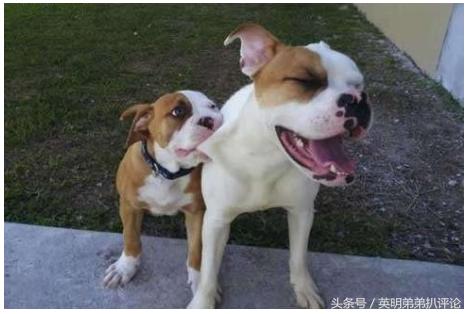 每次和老婆吵架，我都会到厨房把各种罐罐盖都拧死，等到冷战的时候，老婆总是先和我说话没办法有劲就是任性