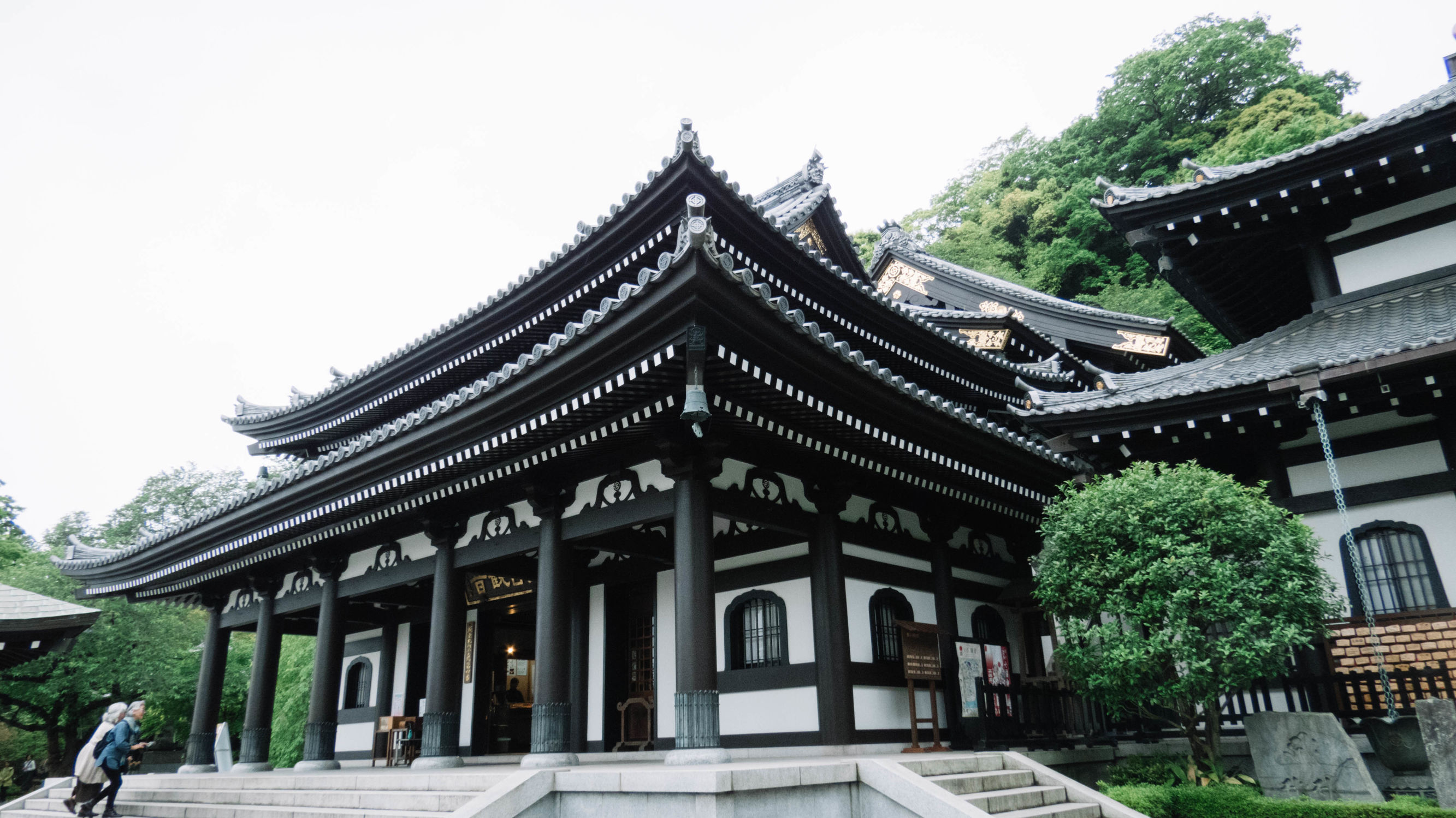 东京镰仓横滨旅游攻略,东京镰仓箱根伊豆富士山路线