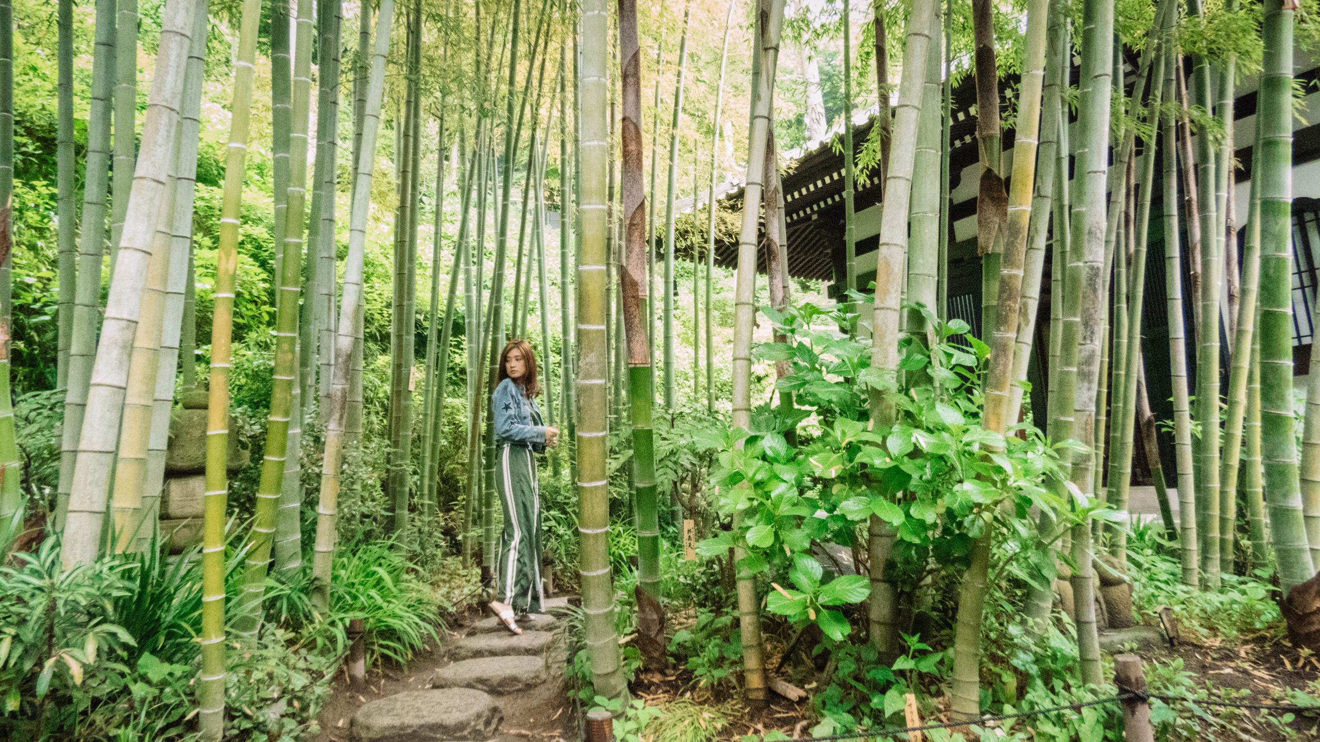 东京镰仓横滨旅游攻略,东京镰仓箱根伊豆富士山路线